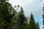 2014-07-05_Laengental-N-Hochweg (554). JPG
